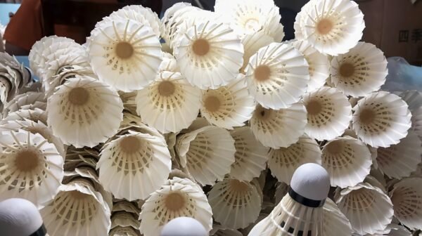 High-quality badminton shuttlecocks wholesale prices from badmintonsupplier.com in China