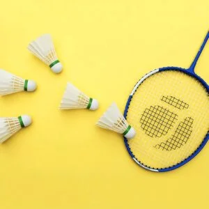 Wholesale high-quality badminton shuttlecocks at factory manufacturer price from badmintonsupplier.com in China