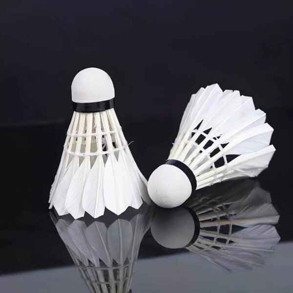 High-quality badminton shuttlecocks wholesale price from badmintonsupplier.com in China