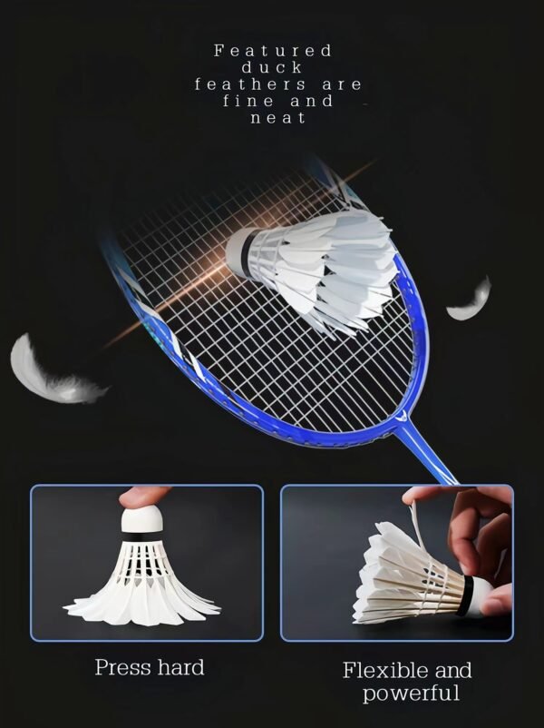 High-quality badminton shuttlecocks wholesale price from badmintonsupplier.com in China