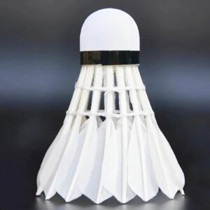 High-quality badminton shuttlecocks wholesale price from badmintonsupplier.com in China
