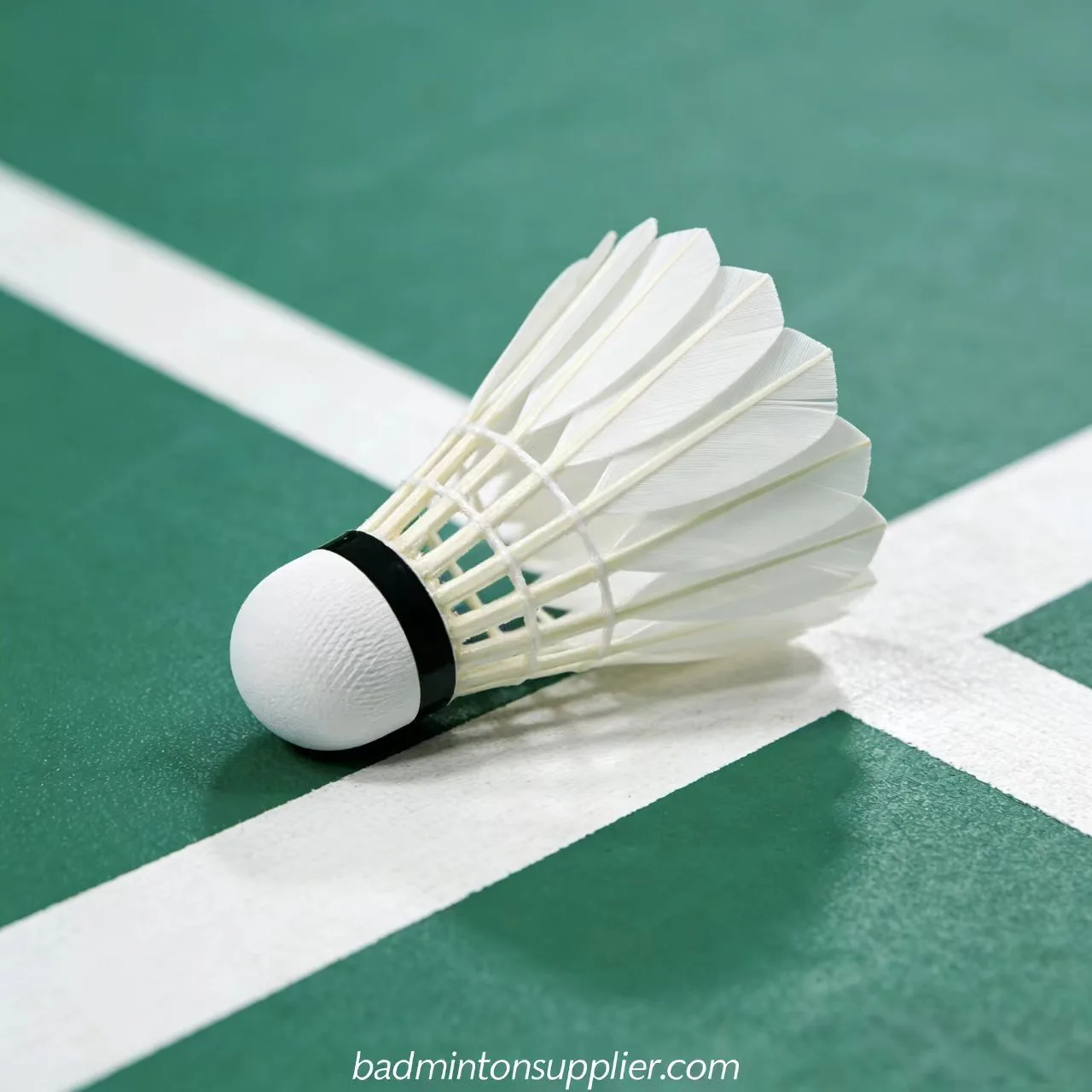 Yesporting premium custom goose feather badminton shuttlecocks factory at wholesale pricing from badmintonsupplier.com in China