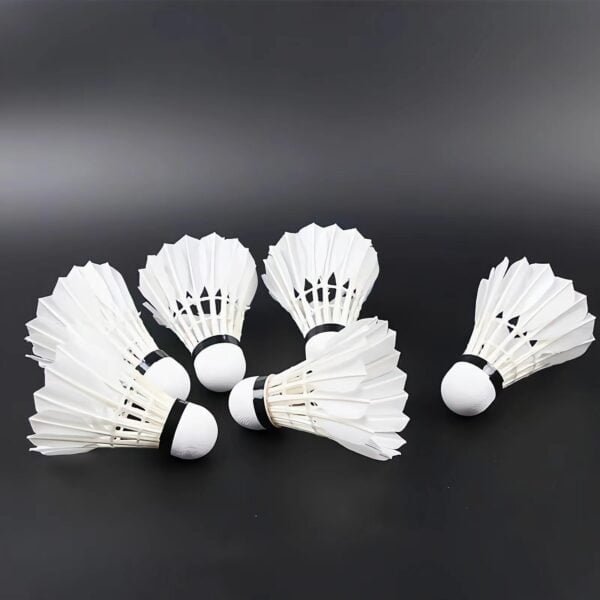 High-quality badminton shuttlecocks wholesale prices from badmintonsupplier.com in China