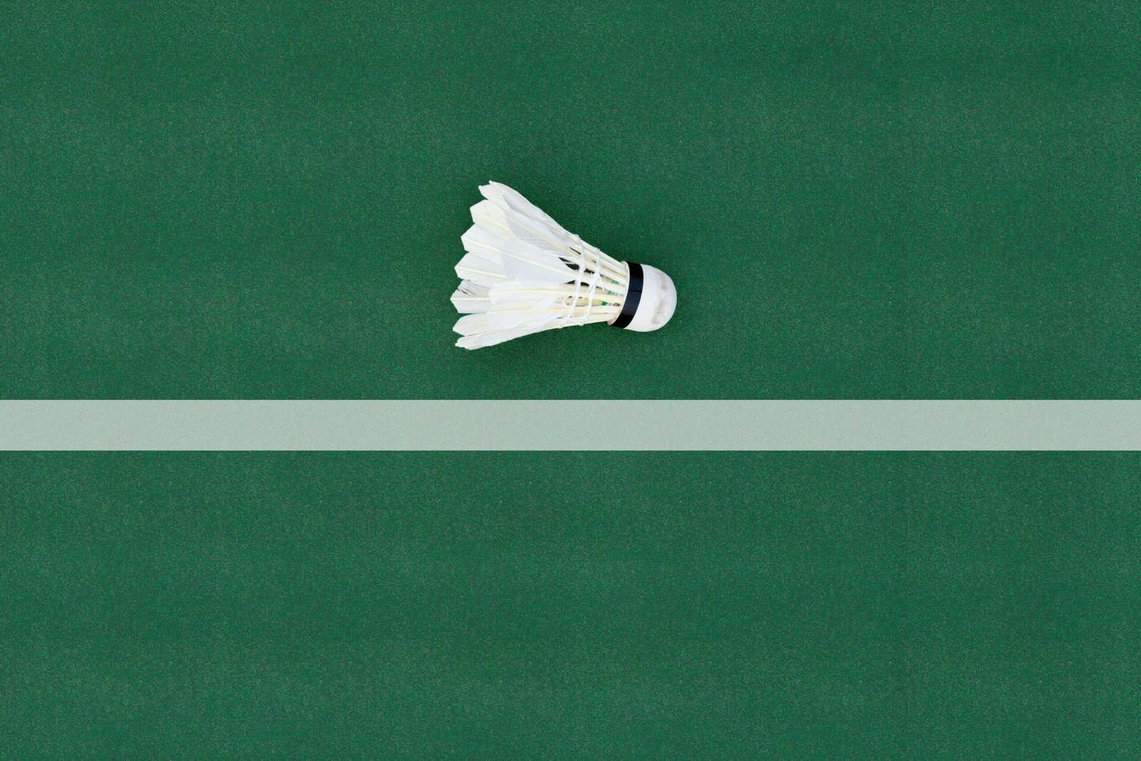 A shuttlecock lies on a green badminton court floor, highlighting sports simplicity.