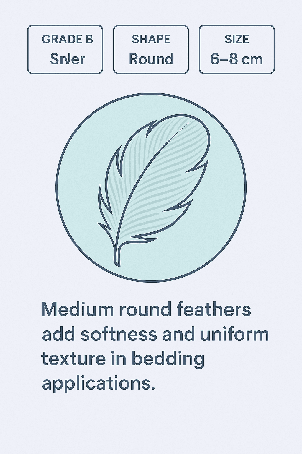Duck Medium Round Feather Infographic