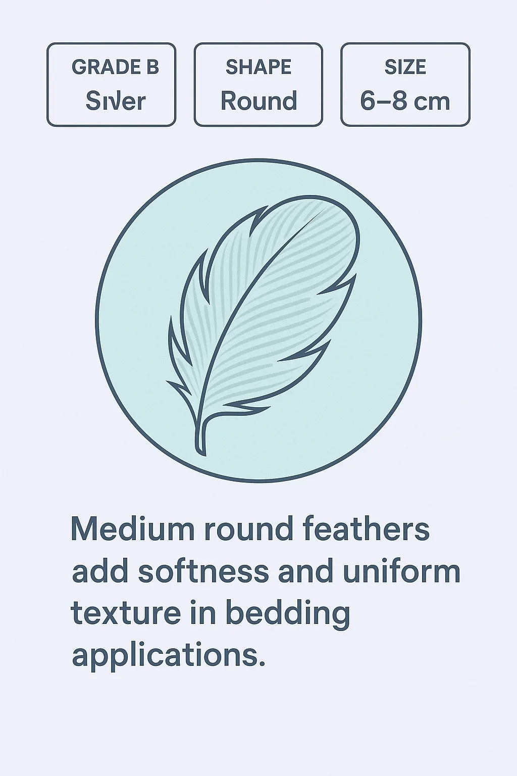 Duck Medium Round Feather Infographic