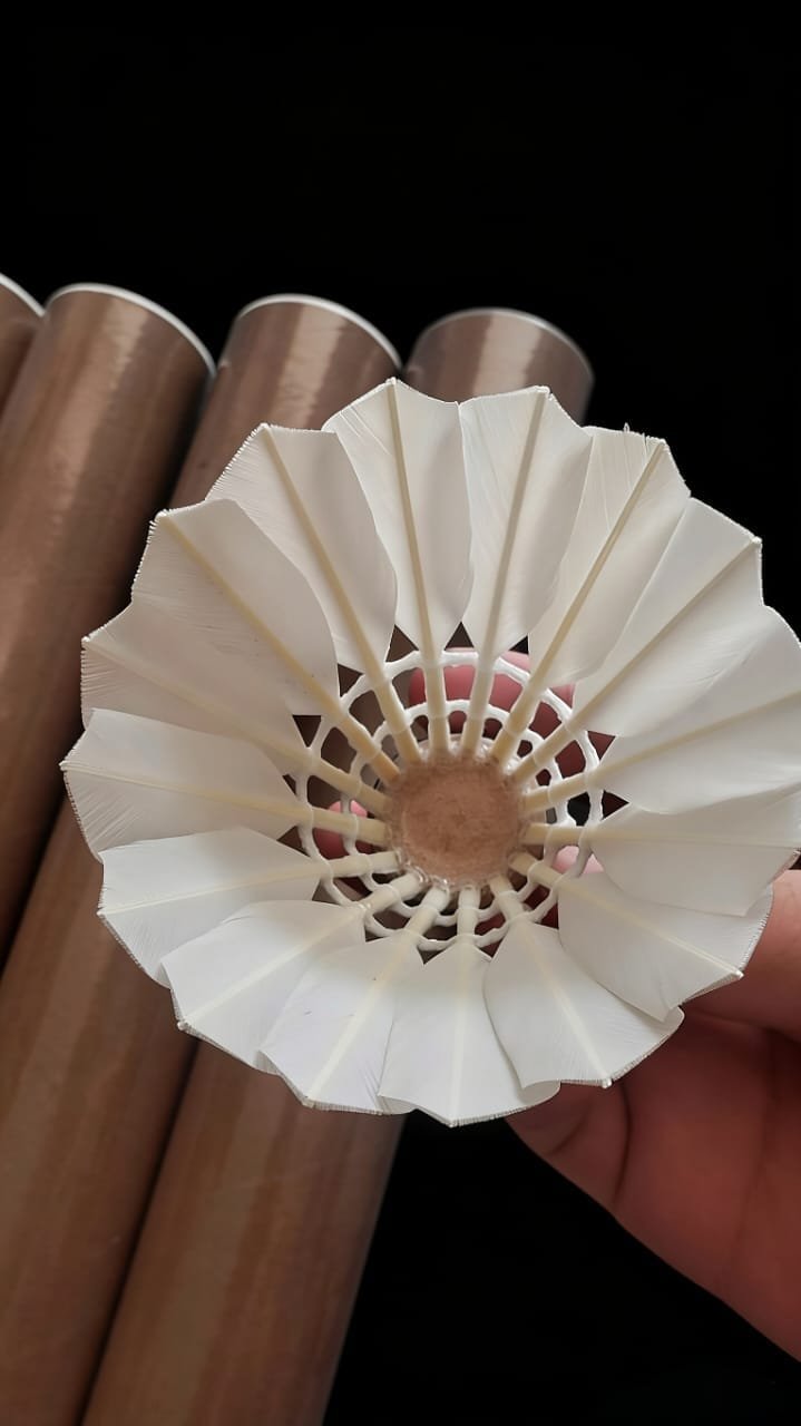 Yesporting badminton Feather Shuttlecock vs Custom Victor badminton Feather Shuttlecocks alternative at badmintonsupplier.com Made In China