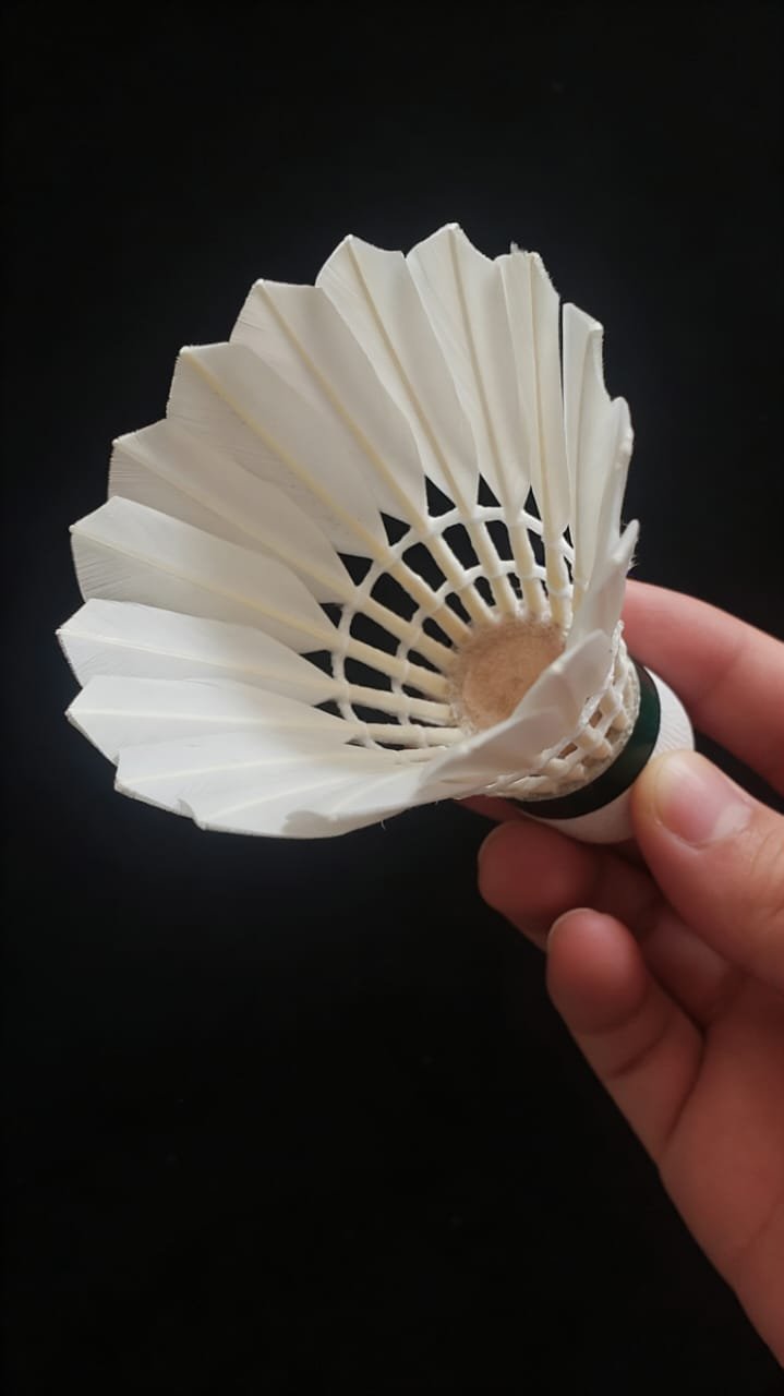 Yesporting badminton Feather Shuttlecock vs Custom Victor badminton Feather Shuttlecocks alternative at badmintonsupplier.com Made In China