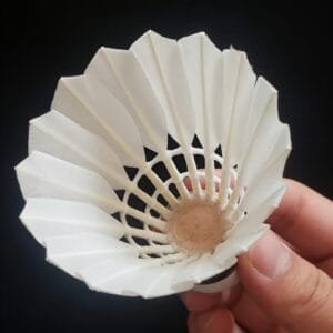 Yesporting badminton Feather Shuttlecock vs Custom Victor badminton Feather Shuttlecocks alternative at badmintonsupplier.com Made In China