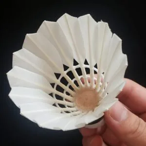 Yesporting badminton Feather Shuttlecock vs Custom Victor badminton Feather Shuttlecocks alternative at badmintonsupplier.com Made In China