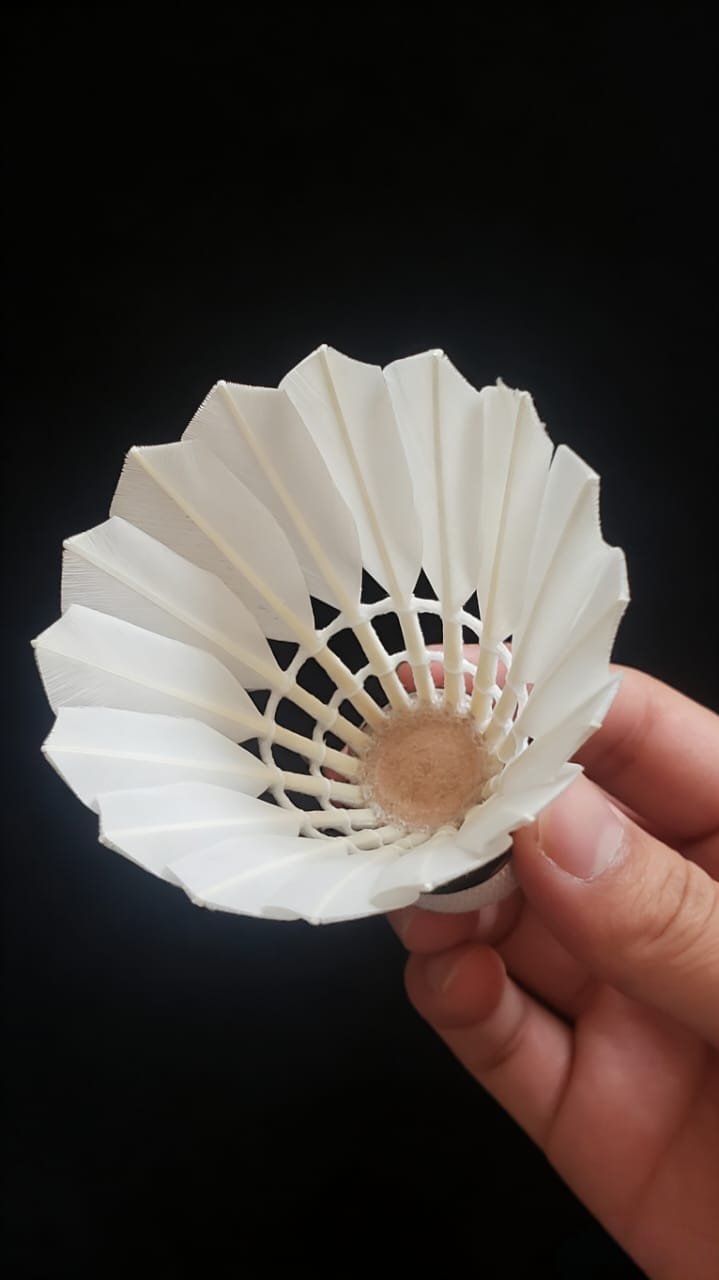 Yesporting badminton Feather Shuttlecock vs Custom Victor badminton Feather Shuttlecocks alternative at badmintonsupplier.com Made In China