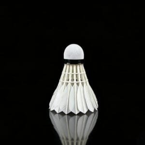 Yesporting badminton Feather Shuttlecock vs Custom Ling-Mei badminton Feather Shuttlecocks alternative at badmintonsupplier.com Made In China