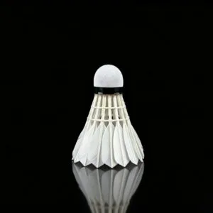 Yesporting badminton Feather Shuttlecock vs Custom Ling-Mei badminton Feather Shuttlecocks alternative at badmintonsupplier.com Made In China