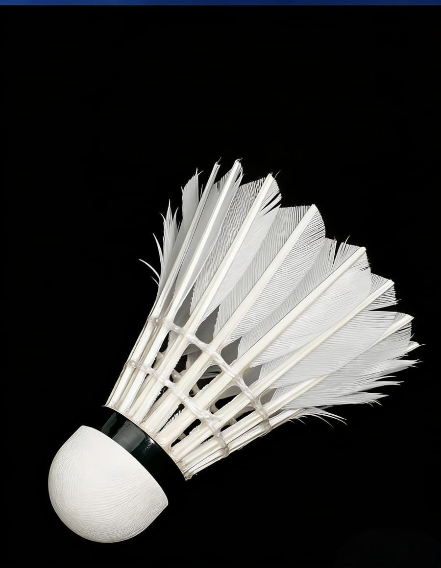 Yesporting badminton Feather Shuttlecock vs Custom Ling-Mei badminton Feather Shuttlecocks alternative at badmintonsupplier.com Made In China