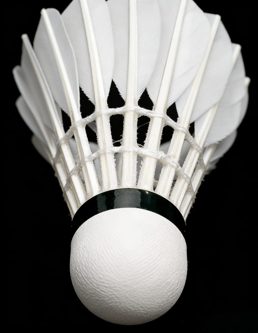 Yesporting badminton Feather Shuttlecock vs Custom Ling-Mei badminton Feather Shuttlecocks alternative at badmintonsupplier.com Made In China