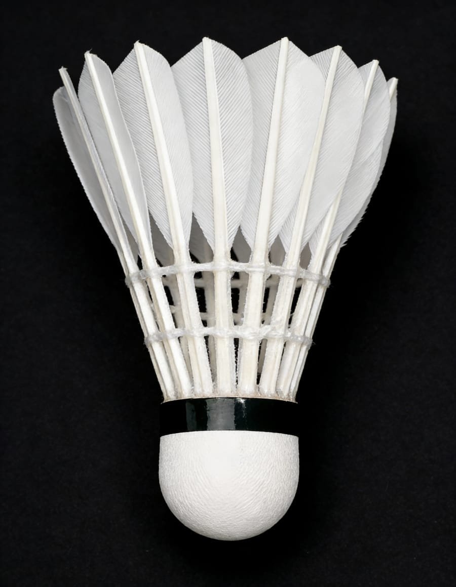 Yesporting badminton Feather Shuttlecock vs Custom Ling-Mei badminton Feather Shuttlecocks alternative at badmintonsupplier.com Made In China