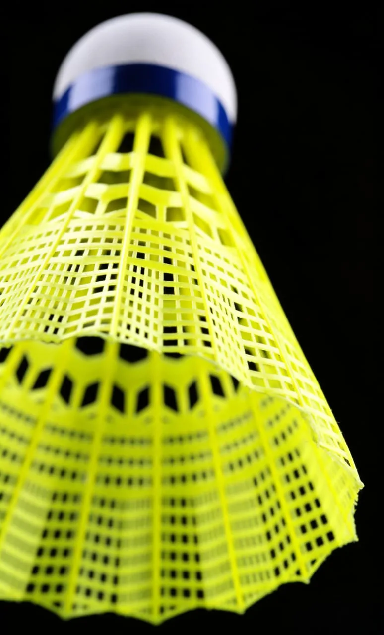 Yesporting badminton Nylon Shuttlecocks vs Custom Yonex Nylon Shuttlecocks alternative at badmintonsupplier.com from China