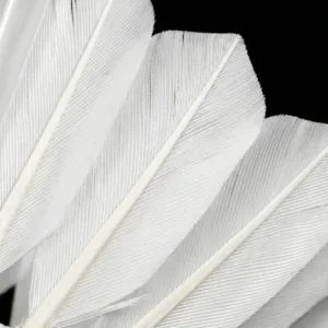 Yesporting premium custom goose feather badminton shuttlecocks factory at wholesale pricing from badmintonsupplier.com in China
