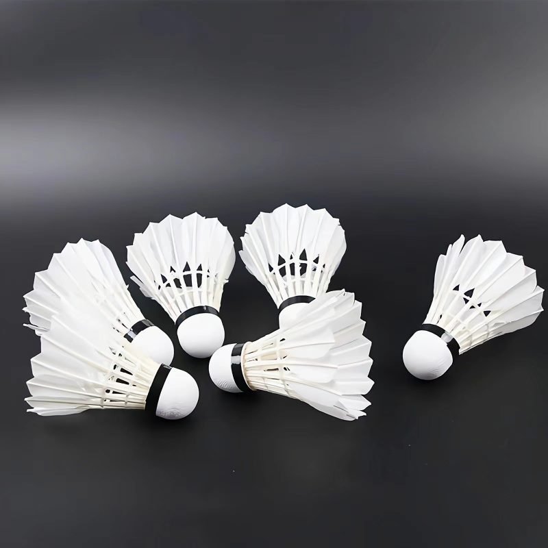 Home - Top High-quality Badminton Shuttlecock Factory Supplier in China ...