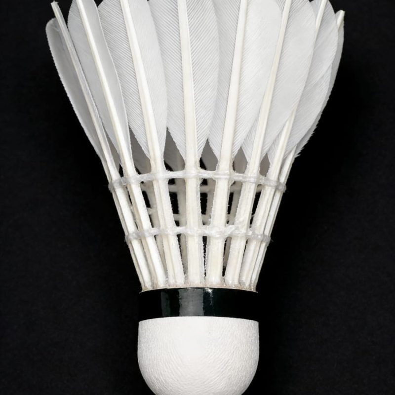 Yesporting badminton Feather Shuttlecock vs Custom Ling-Mei badminton Feather Shuttlecocks alternative at badmintonsupplier.com Made In China